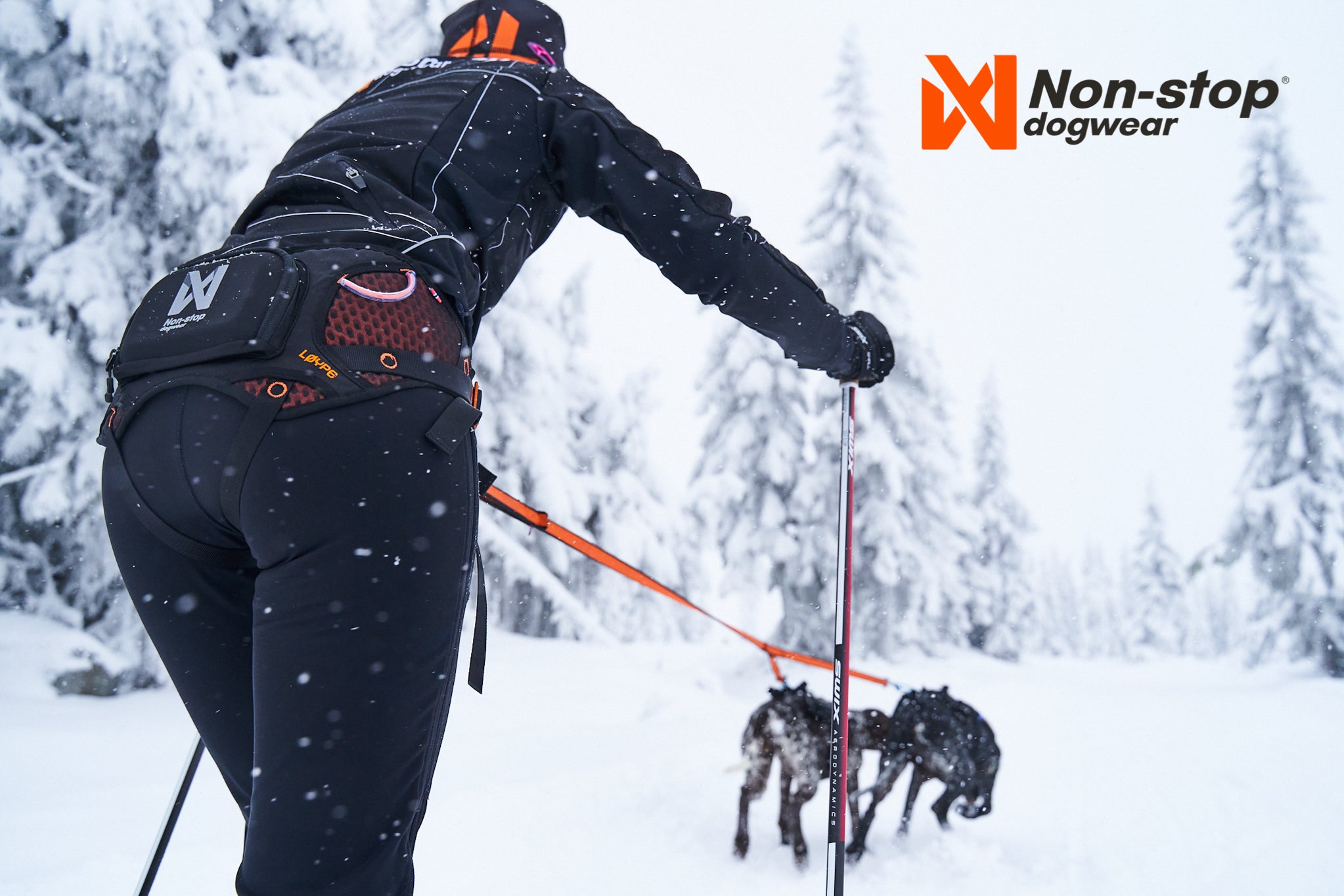 Non-Stop Dogwear Løype Belt