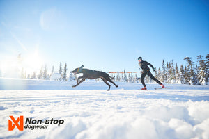 Non-Stop Dogwear Løype Belt