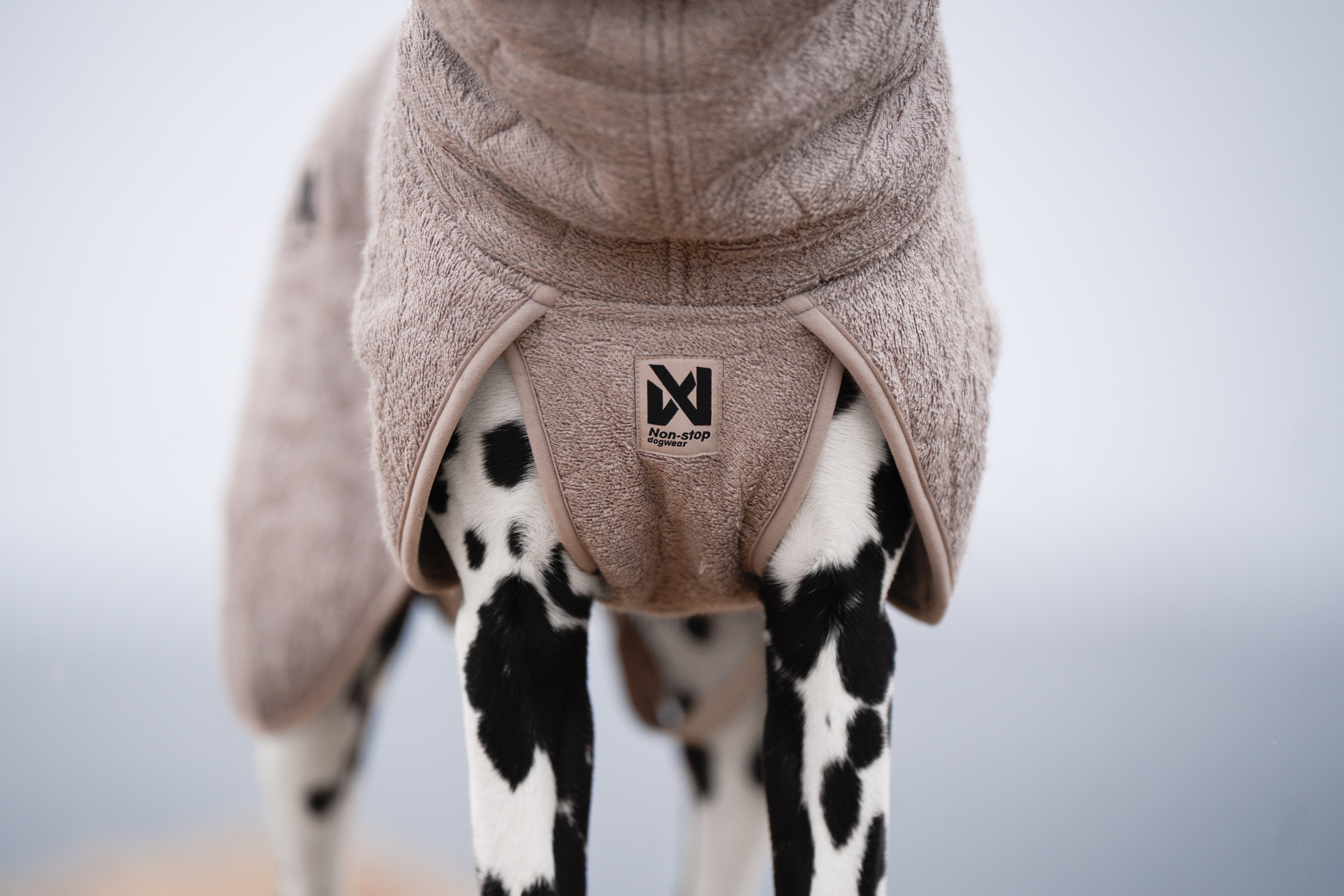 Non-Stop Dogwear Drying Coat