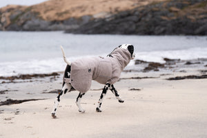 Non-Stop Dogwear Drying Coat