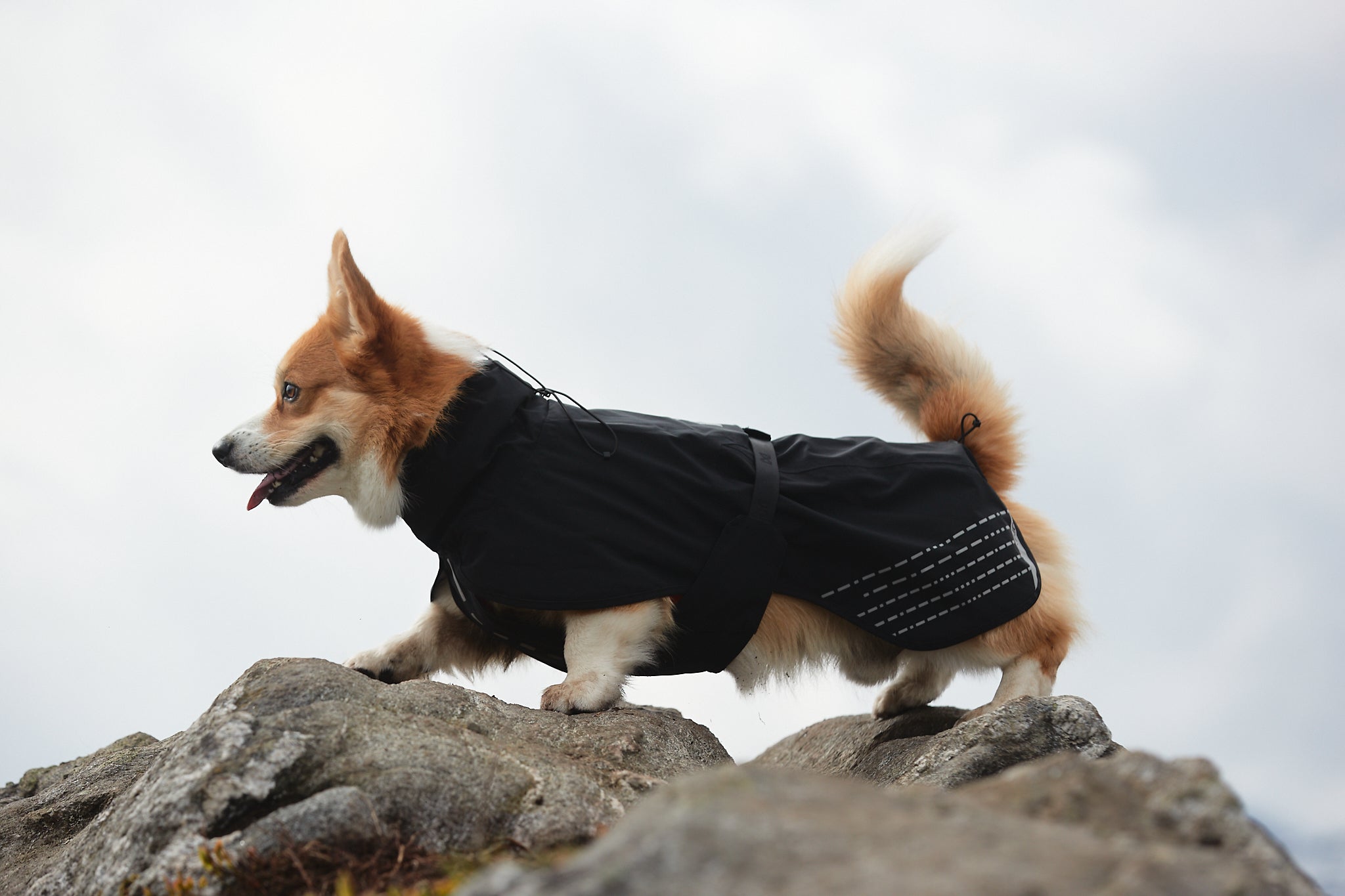 Non-Stop Dogwear Fjord Raincoat