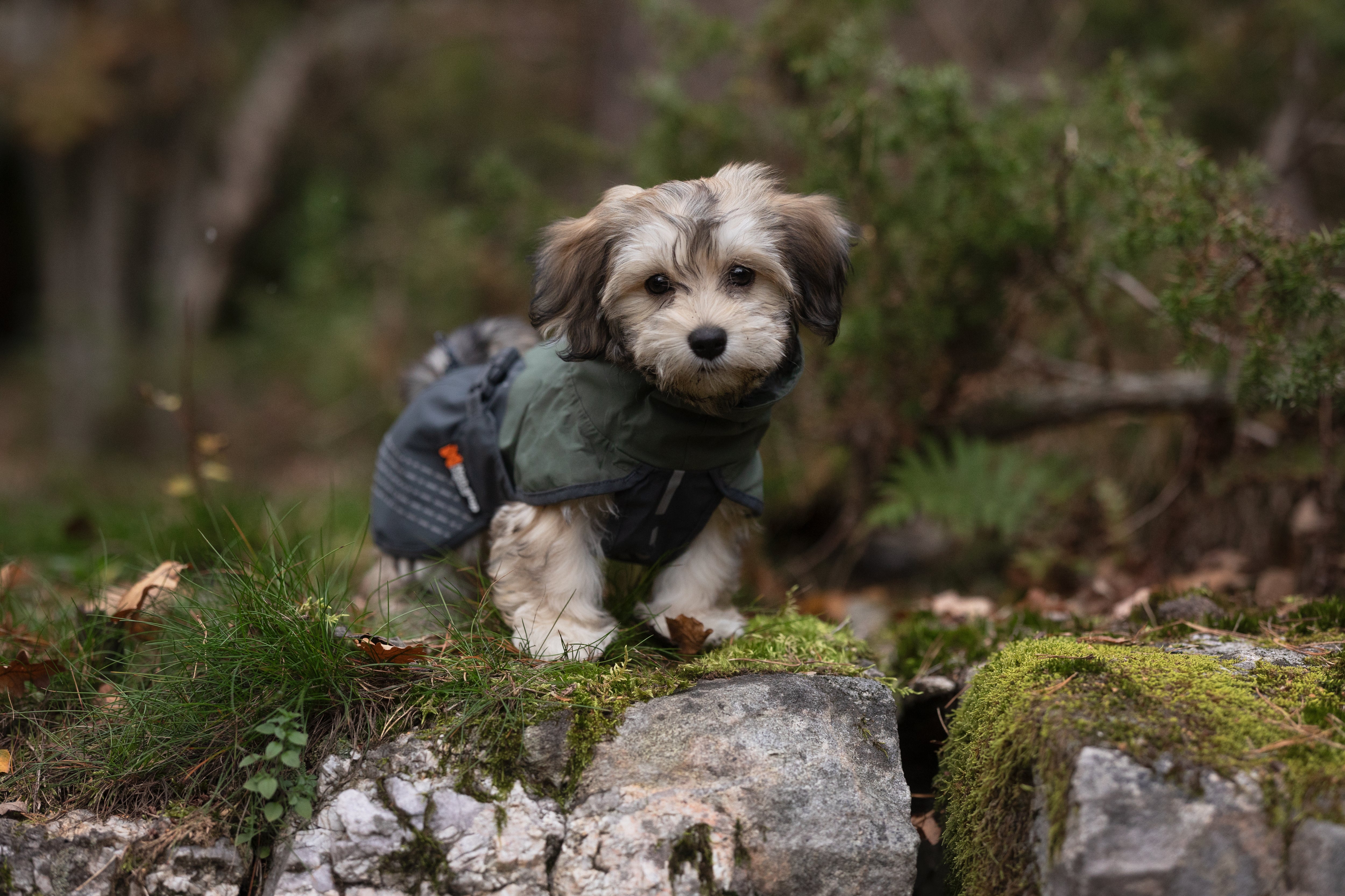 Non-Stop Dogwear Fjord Raincoat