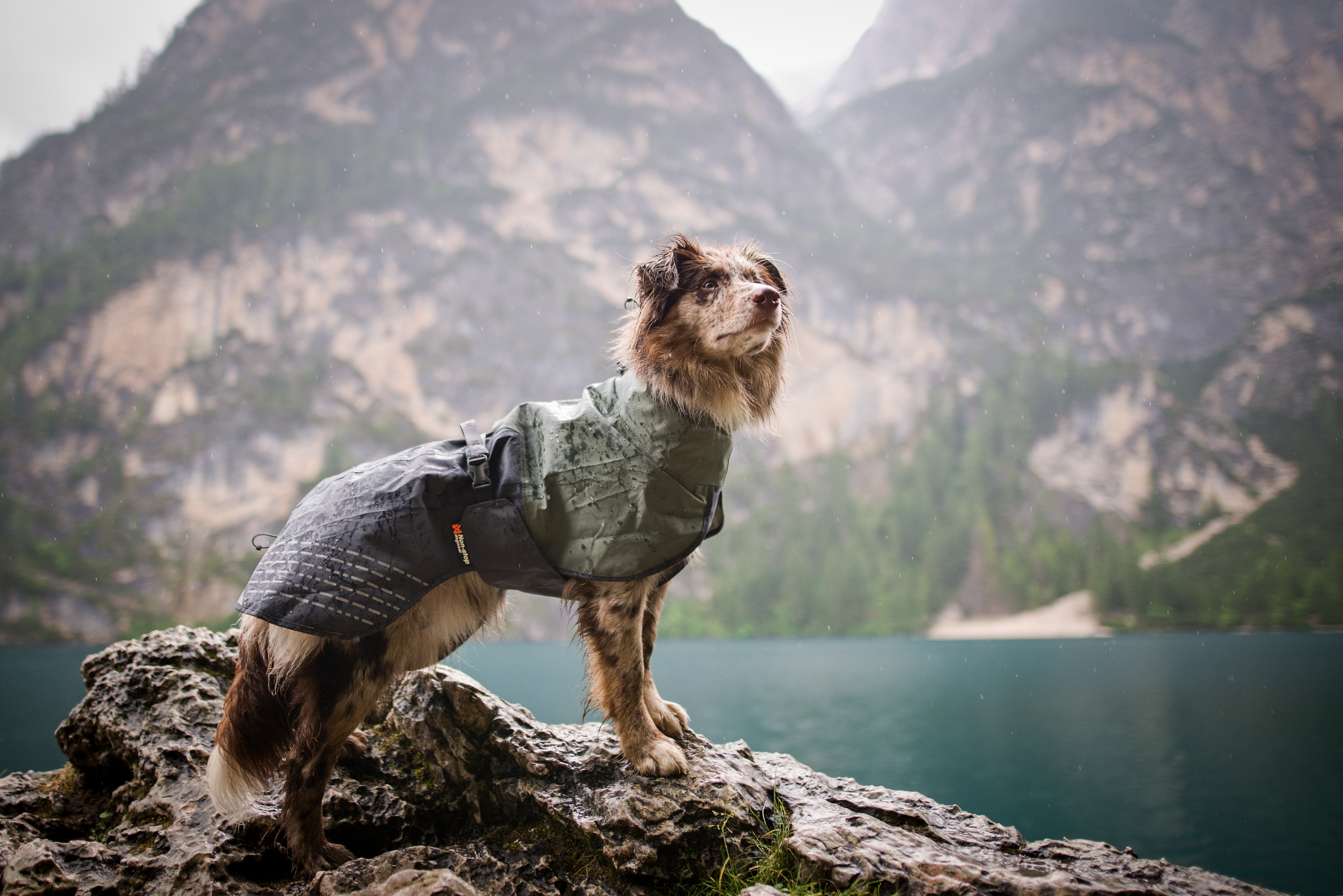 Non-Stop Dogwear Fjord Raincoat