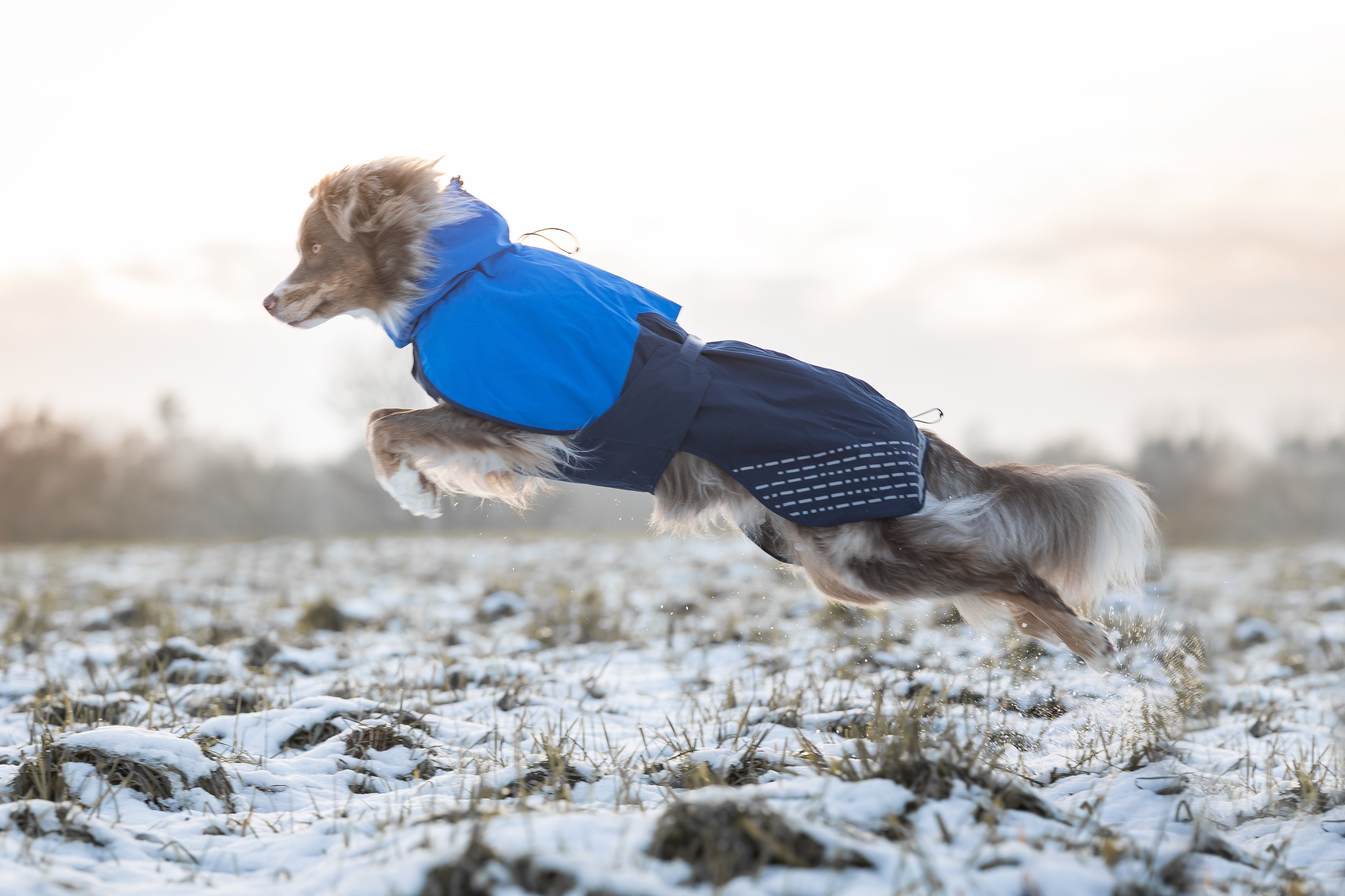 Non-Stop Dogwear Fjord Raincoat