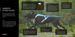 Non-Stop Dogwear Freemotion Harness 5.0