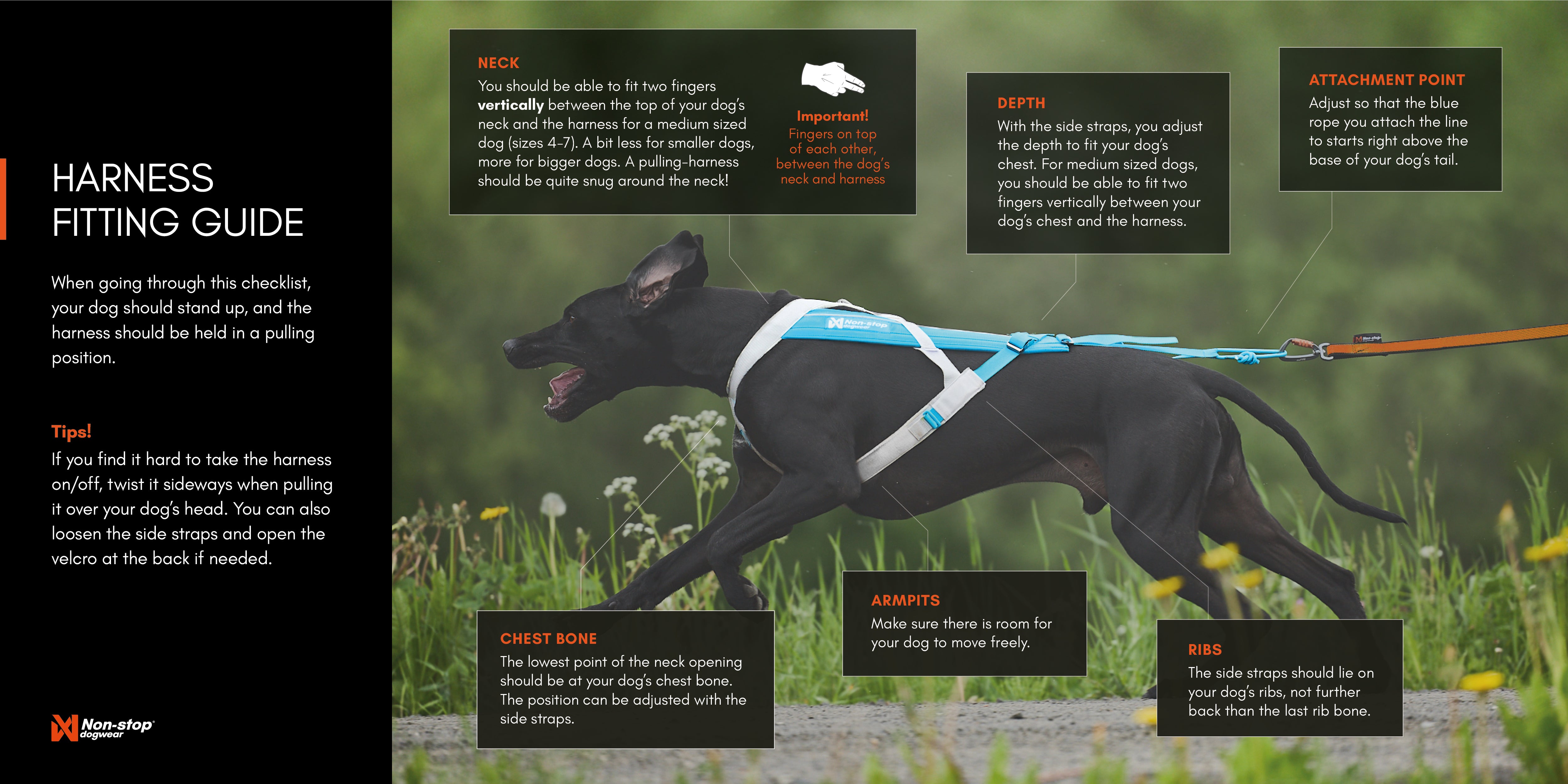 Non-Stop Dogwear Freemotion Harness 5.0