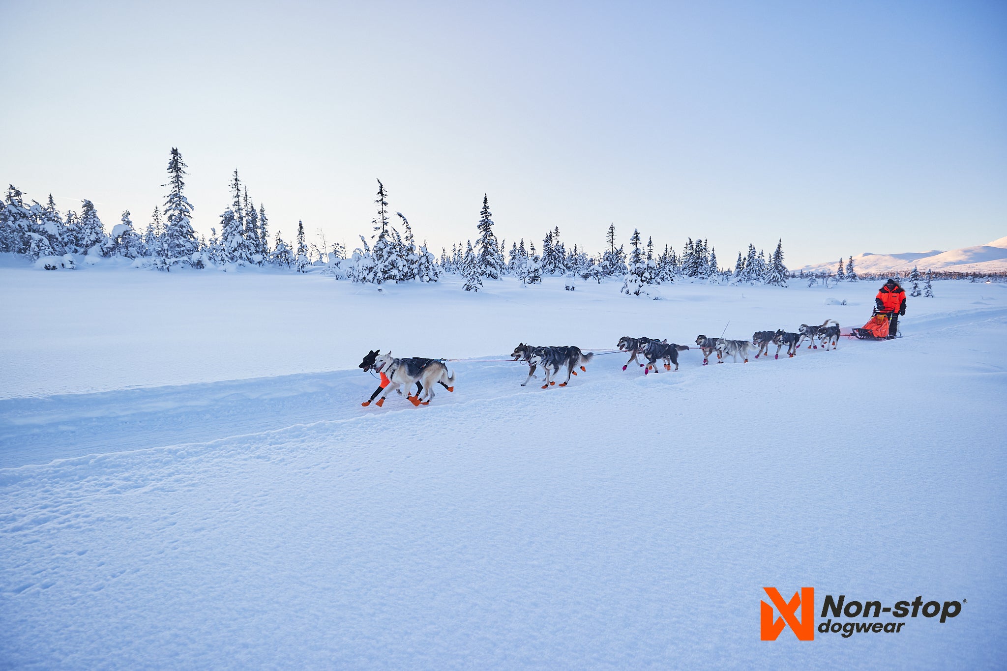 Non-Stop Dogwear Nansen Nome Harness 5.0