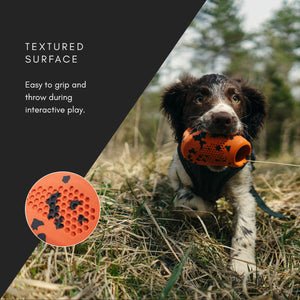 Non-Stop Dogwear Dog Throw Toy