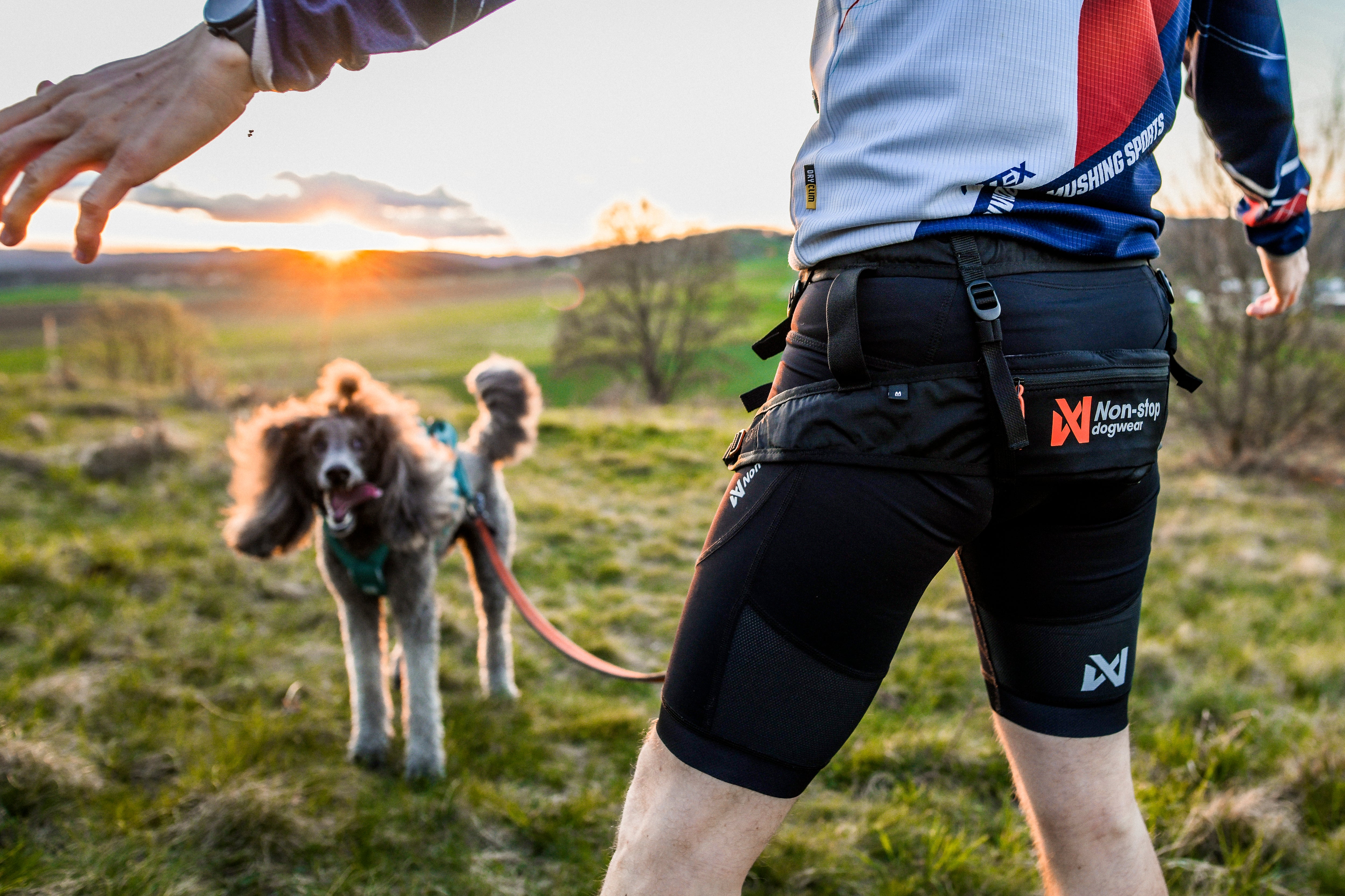 Non-Stop Dogwear CaniX Belt 2.0