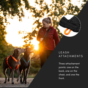 Non-Stop Dogwear Line Harness 5.0