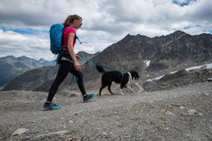 Non-Stop Dogwear Line Harness 5.0