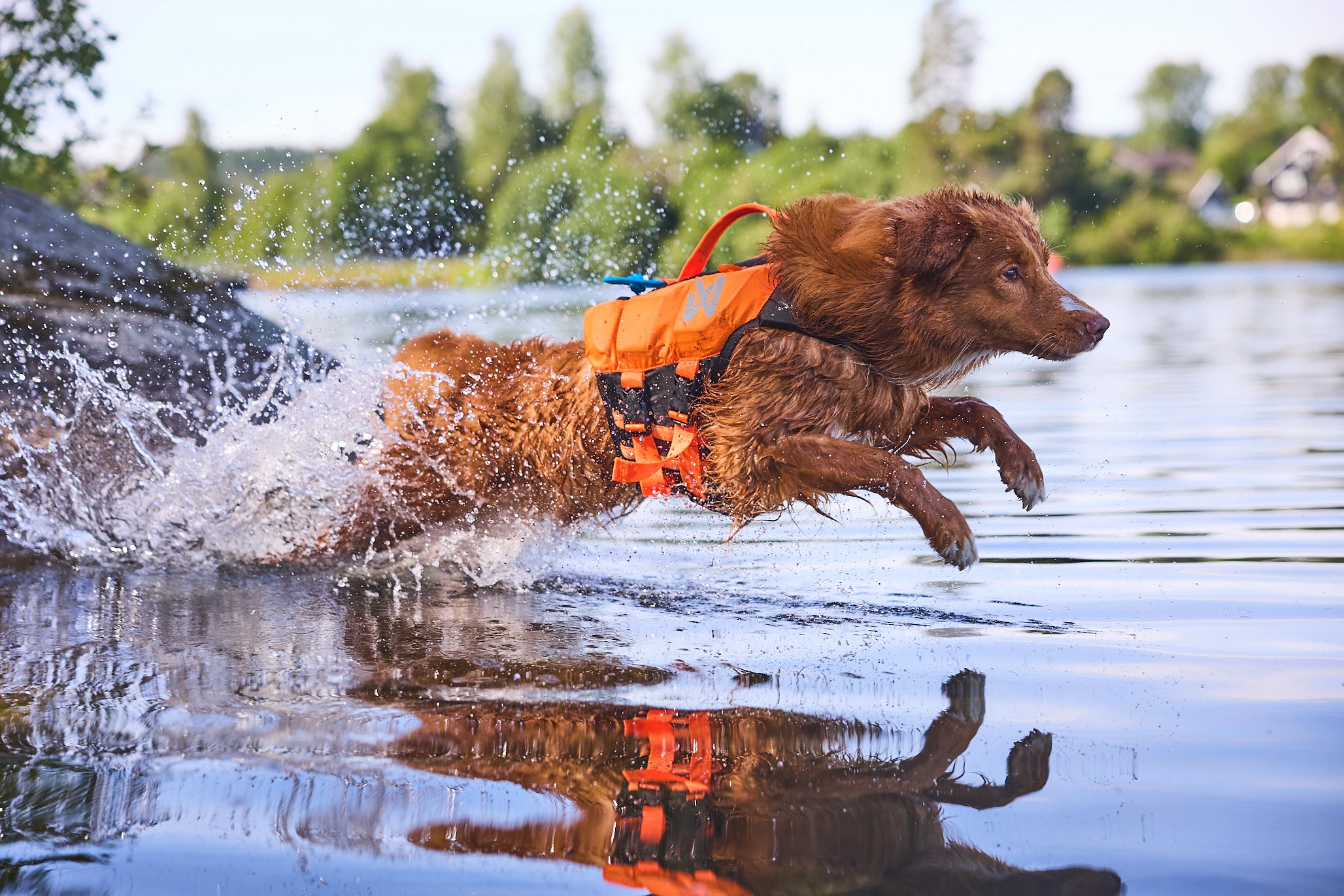 Non-Stop Dogwear Protector Life Jacket