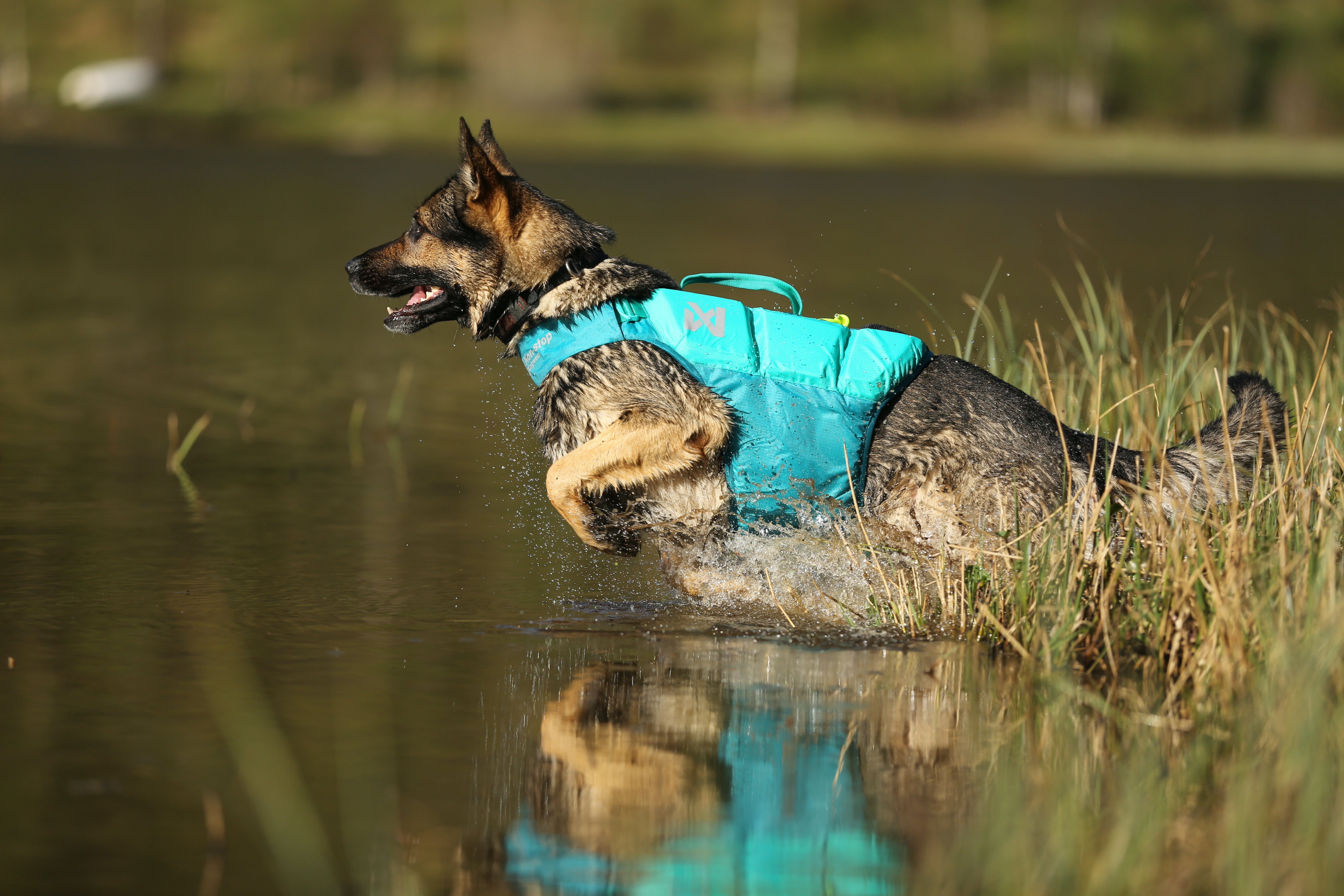 Non-Stop Dogwear Protector Life Jacket