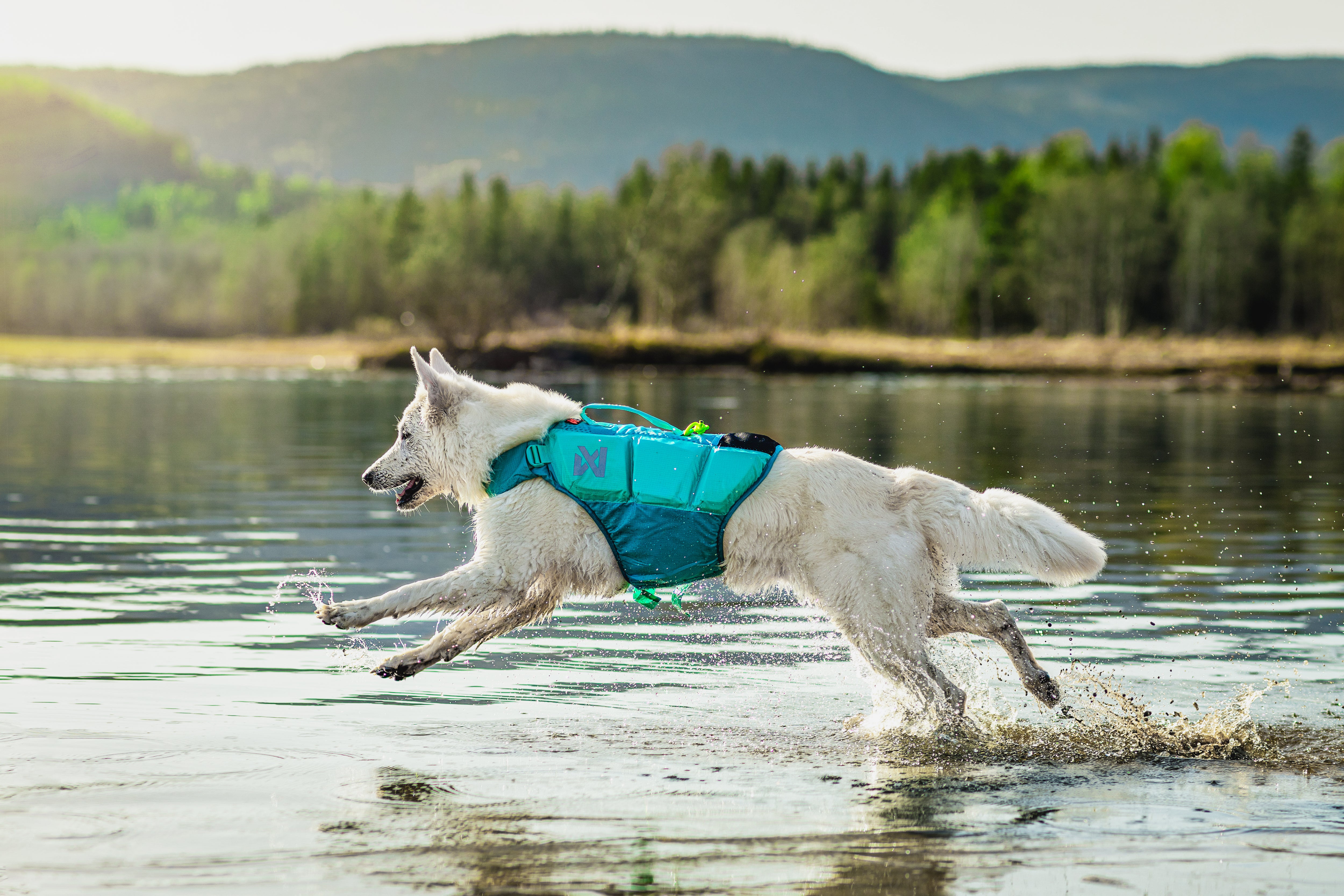 Non-Stop Dogwear Protector Life Jacket