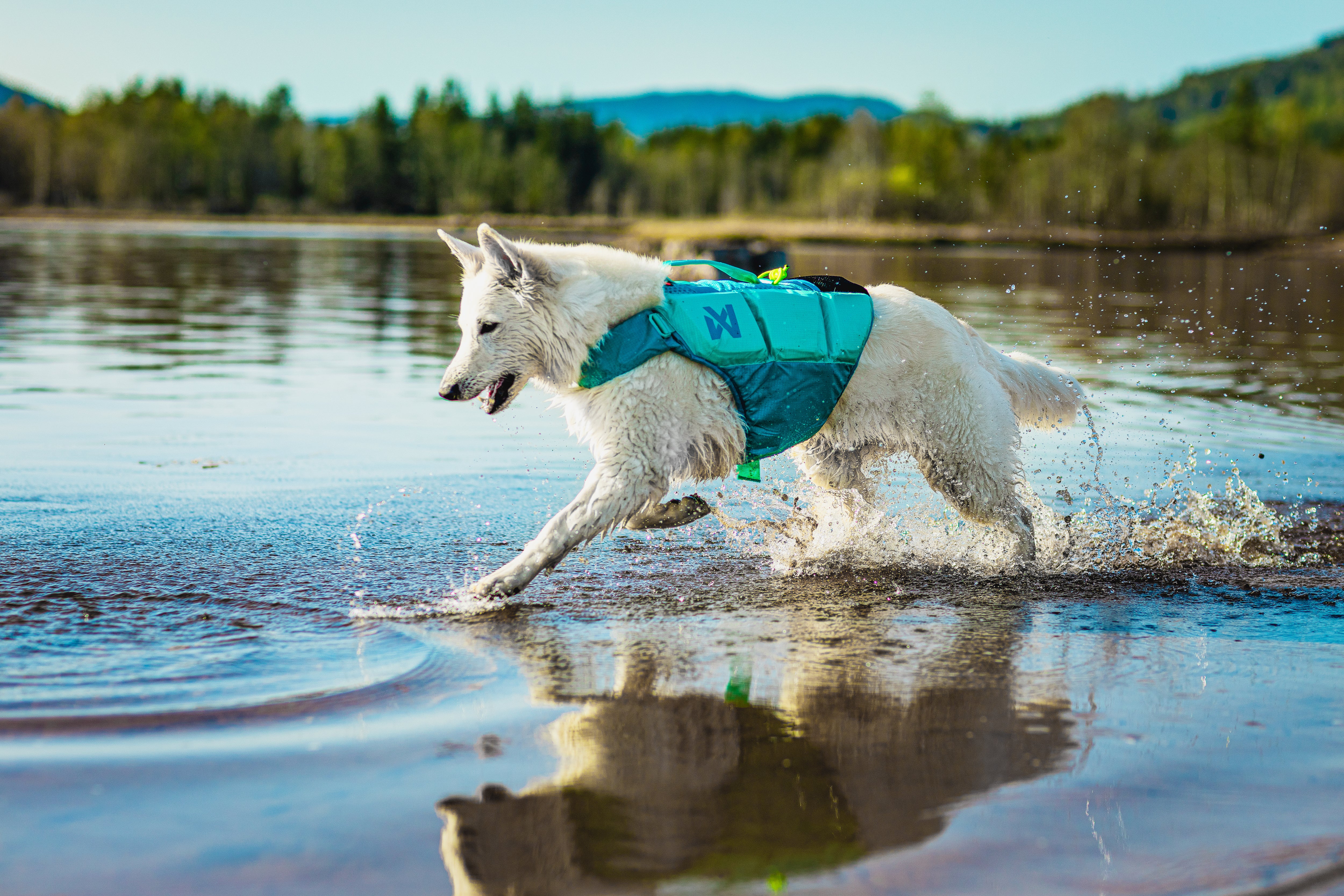 Non-Stop Dogwear Protector Life Jacket