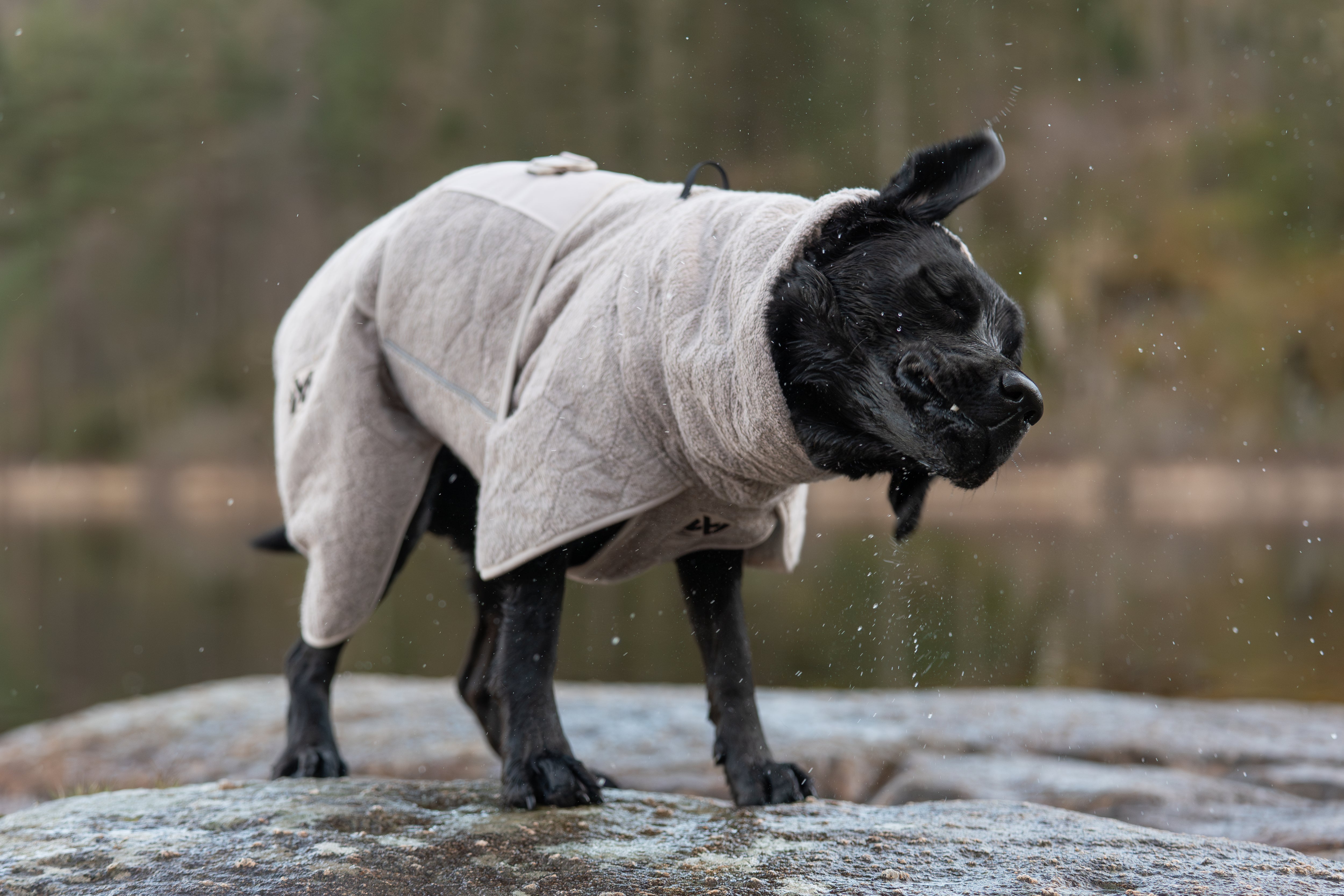 Non-Stop Dogwear Drying Coat