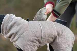 Non-Stop Dogwear Drying Coat