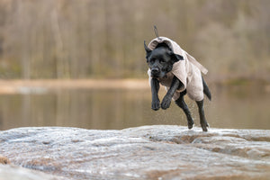 Non-Stop Dogwear Drying Coat