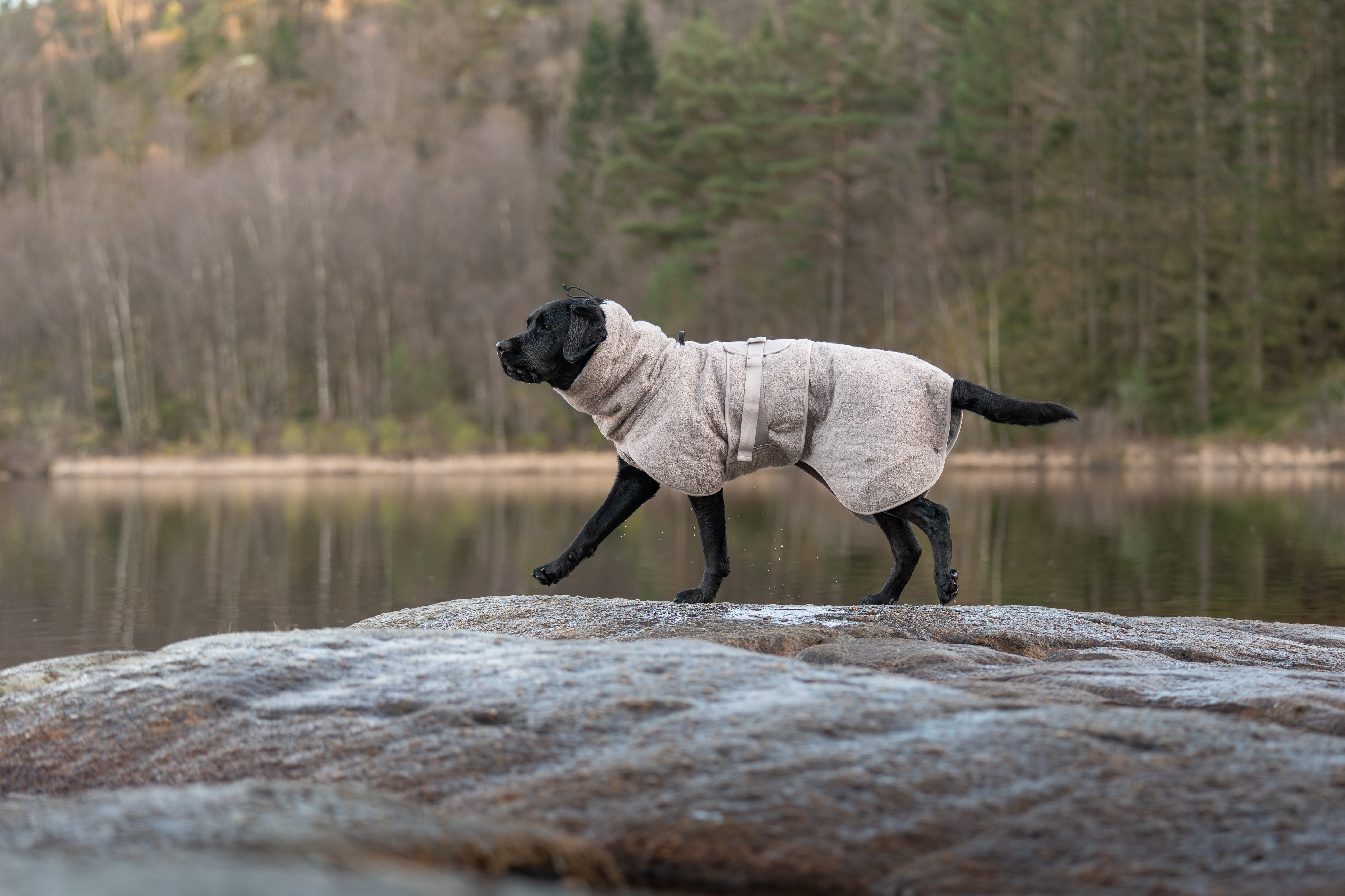 Non-Stop Dogwear Drying Coat