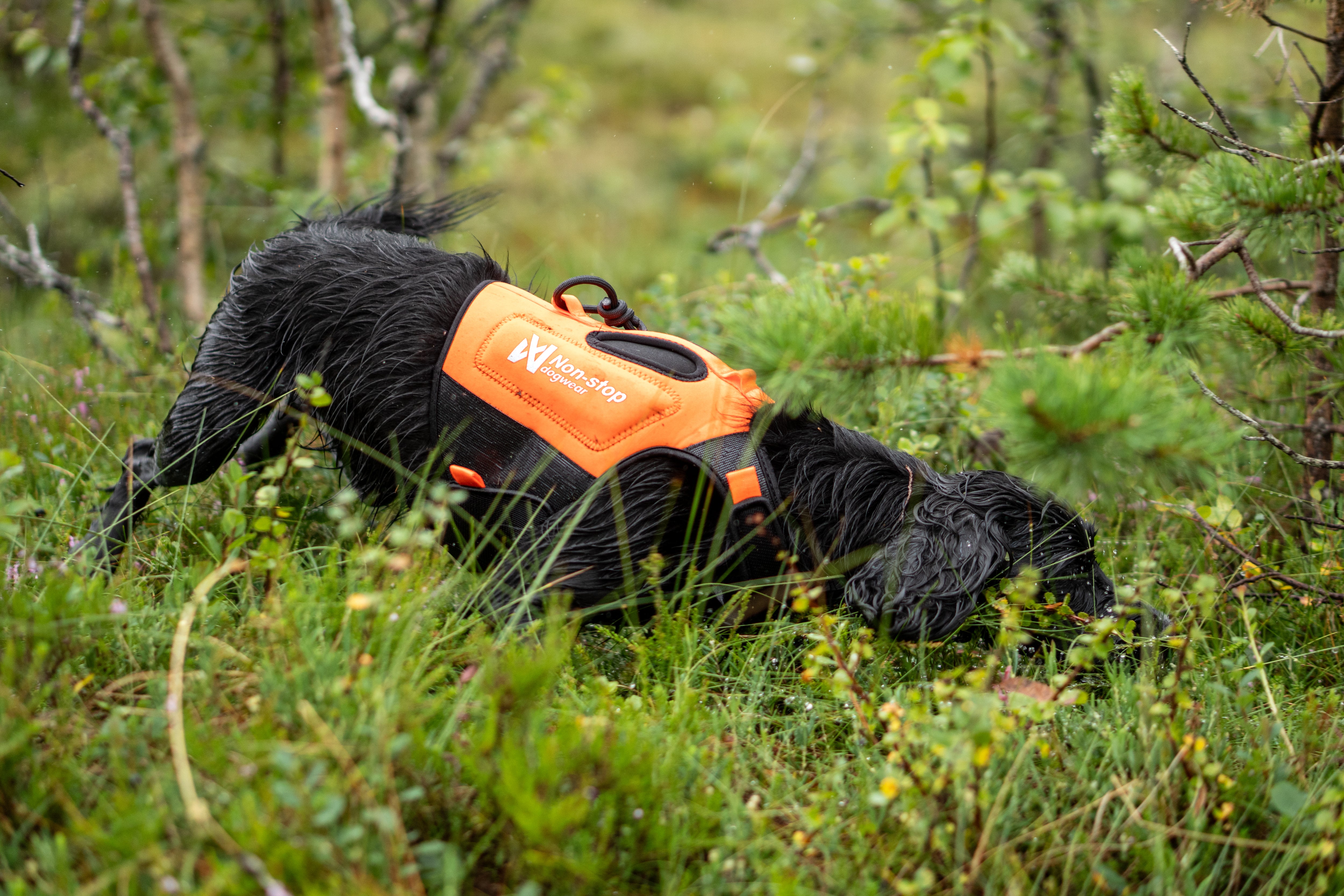 Non-Stop Dogwear Protector Neoprene Vest