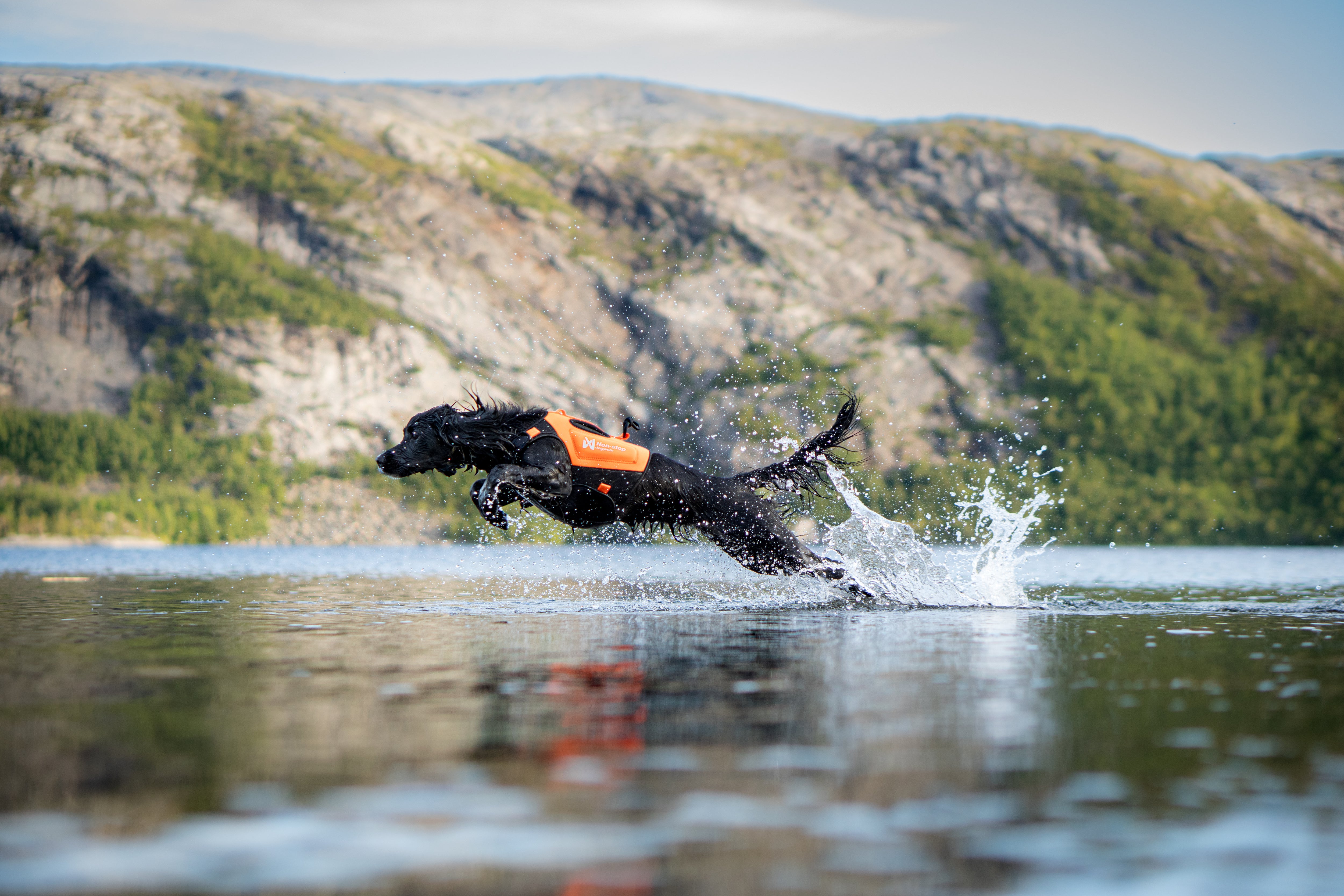 Non-Stop Dogwear Protector Neoprene Vest