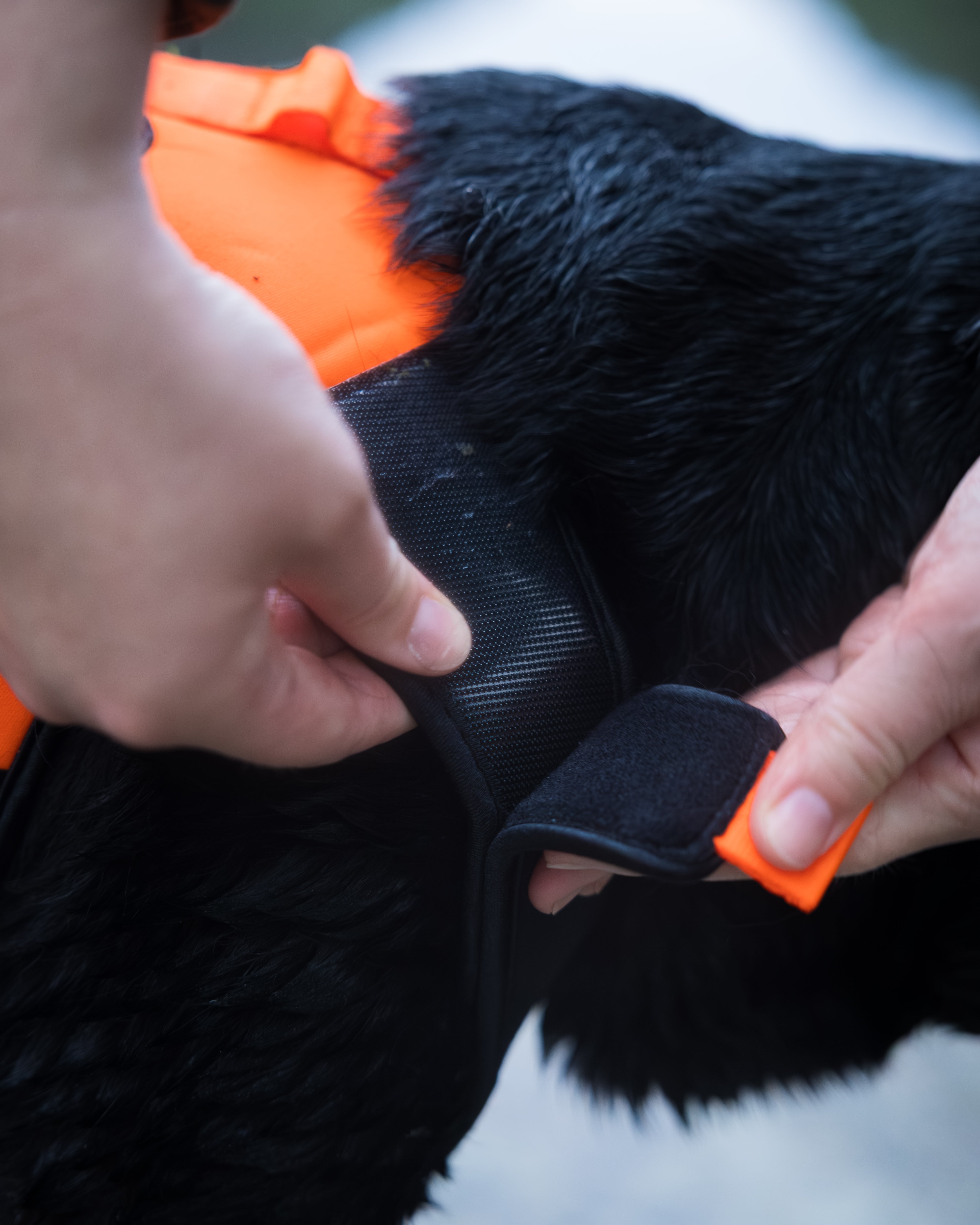 Non-Stop Dogwear Protector Neoprene Vest