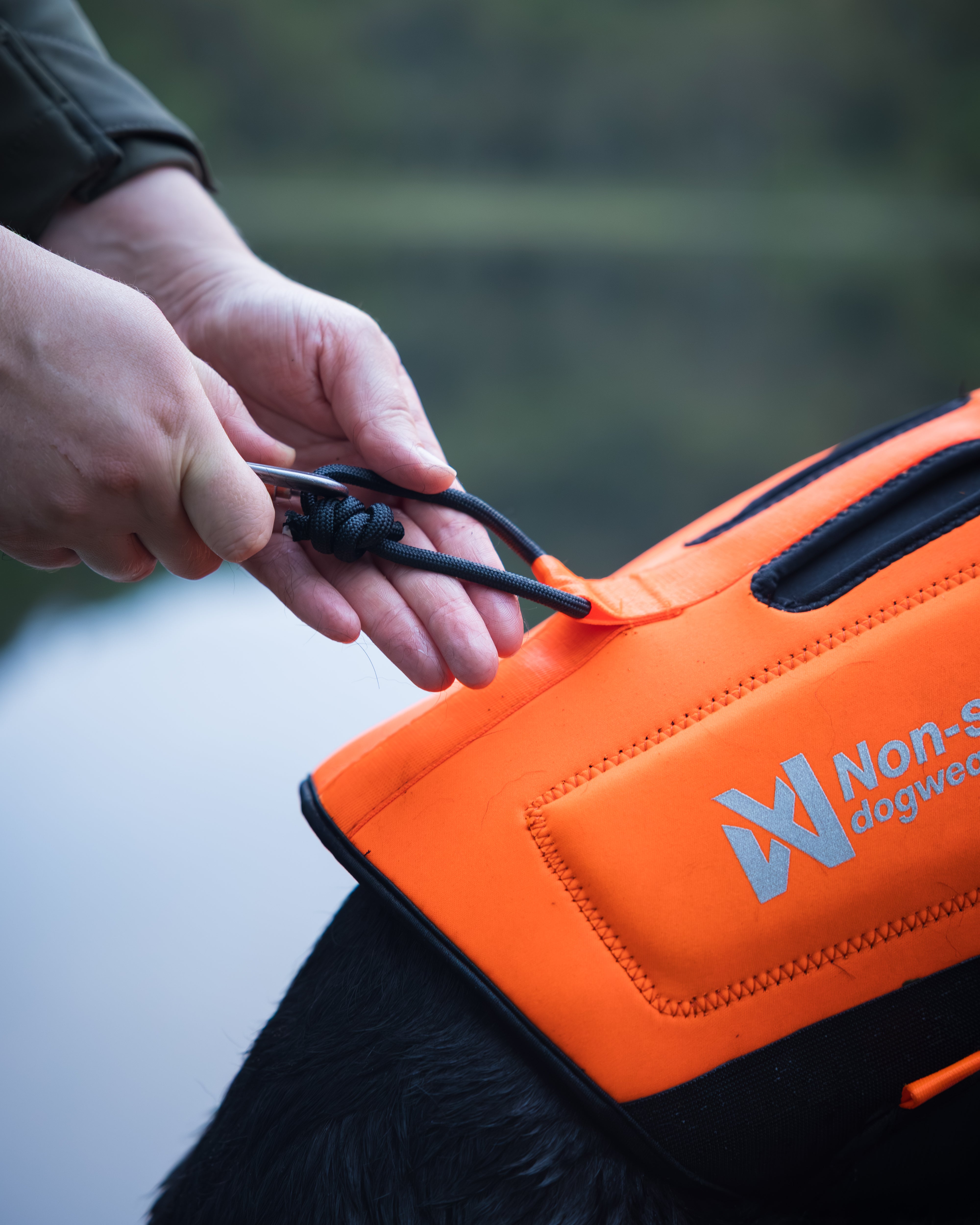 Non-Stop Dogwear Protector Neoprene Vest