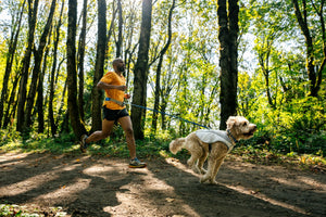 Ruffwear Swamp Cooler™ Cooling Vest