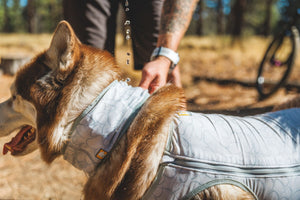 Ruffwear Swamp Cooler™ Cooling Neck Gaiter
