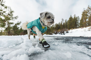 Ruffwear Quinzee Jacket