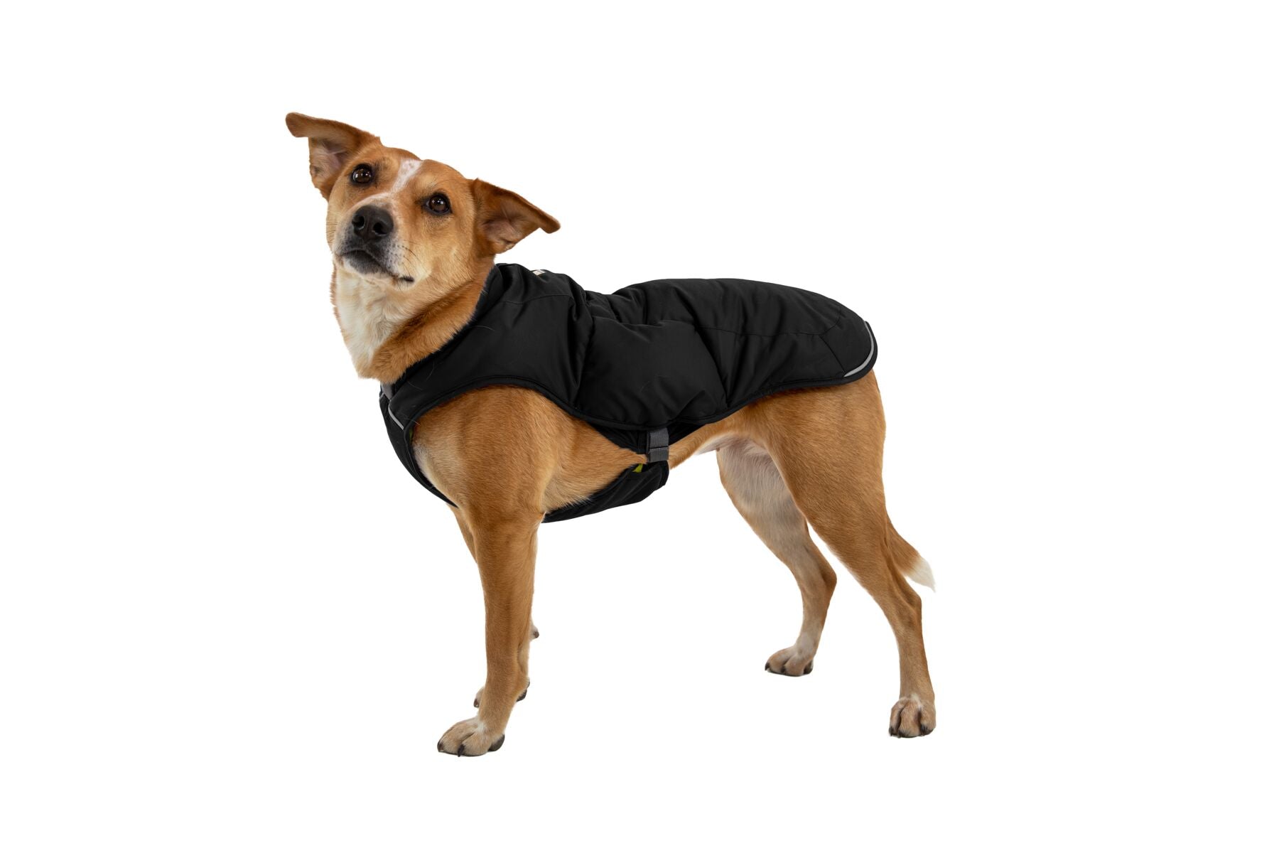 Ruffwear Quinzee Jacket - Final Sale*