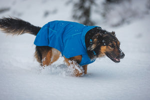 Ruffwear Vert Jacket - USED GEAR - FINAL SALE