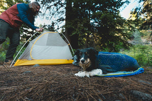 Ruffwear Climate Changer™ Coverall