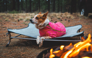 Ruffwear Mt. EverRest™ Dog Cot