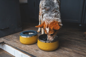 Ruffwear Basecamp™ Anti-Splash Ring