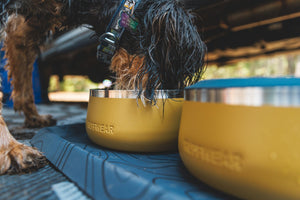 Ruffwear Basecamp™ Bowl