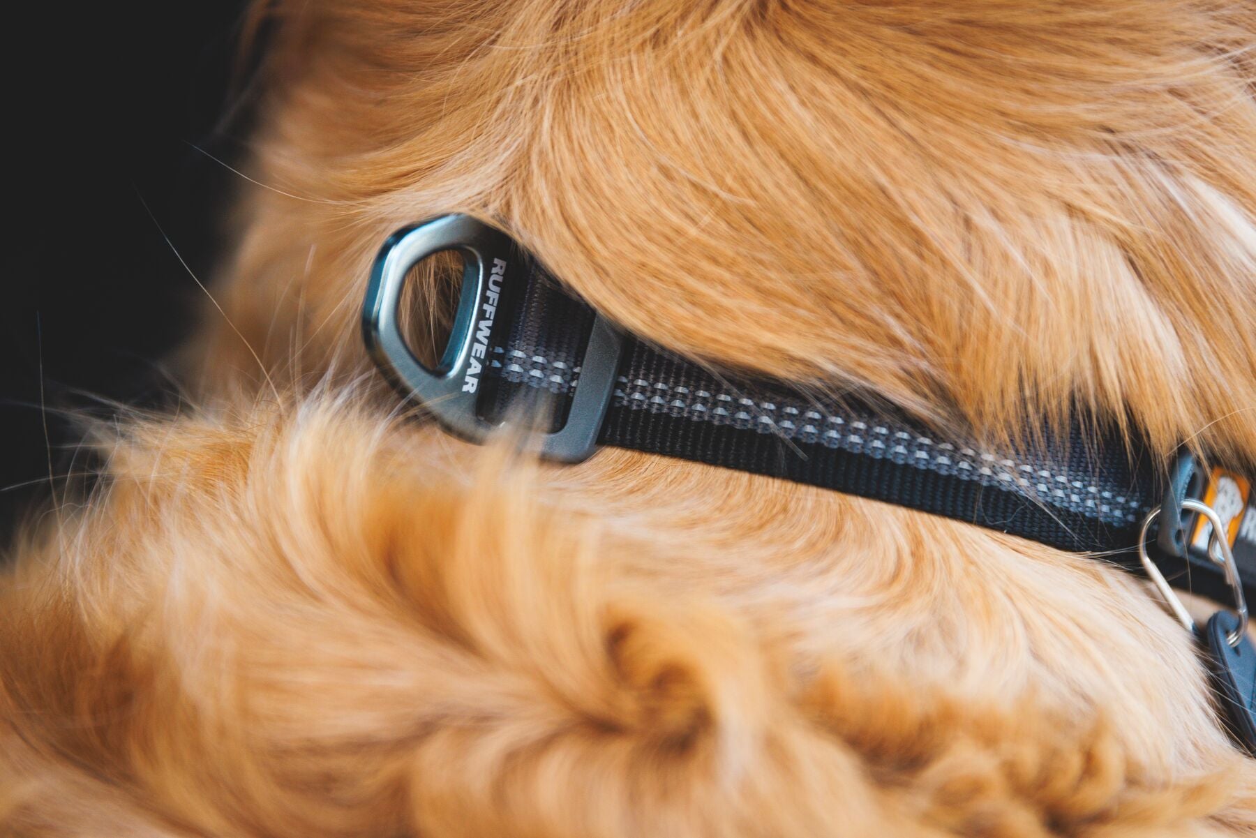 Ruffwear Top Rope Collar