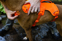 Ruffwear Web Master Harness