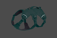 Ruffwear Web Master Harness