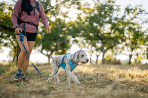Ruffwear Swamp Cooler™ Cooling Harness