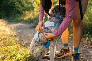 Ruffwear Swamp Cooler™ Cooling Harness