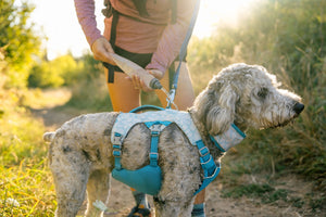 Ruffwear Swamp Cooler™ Cooling Harness
