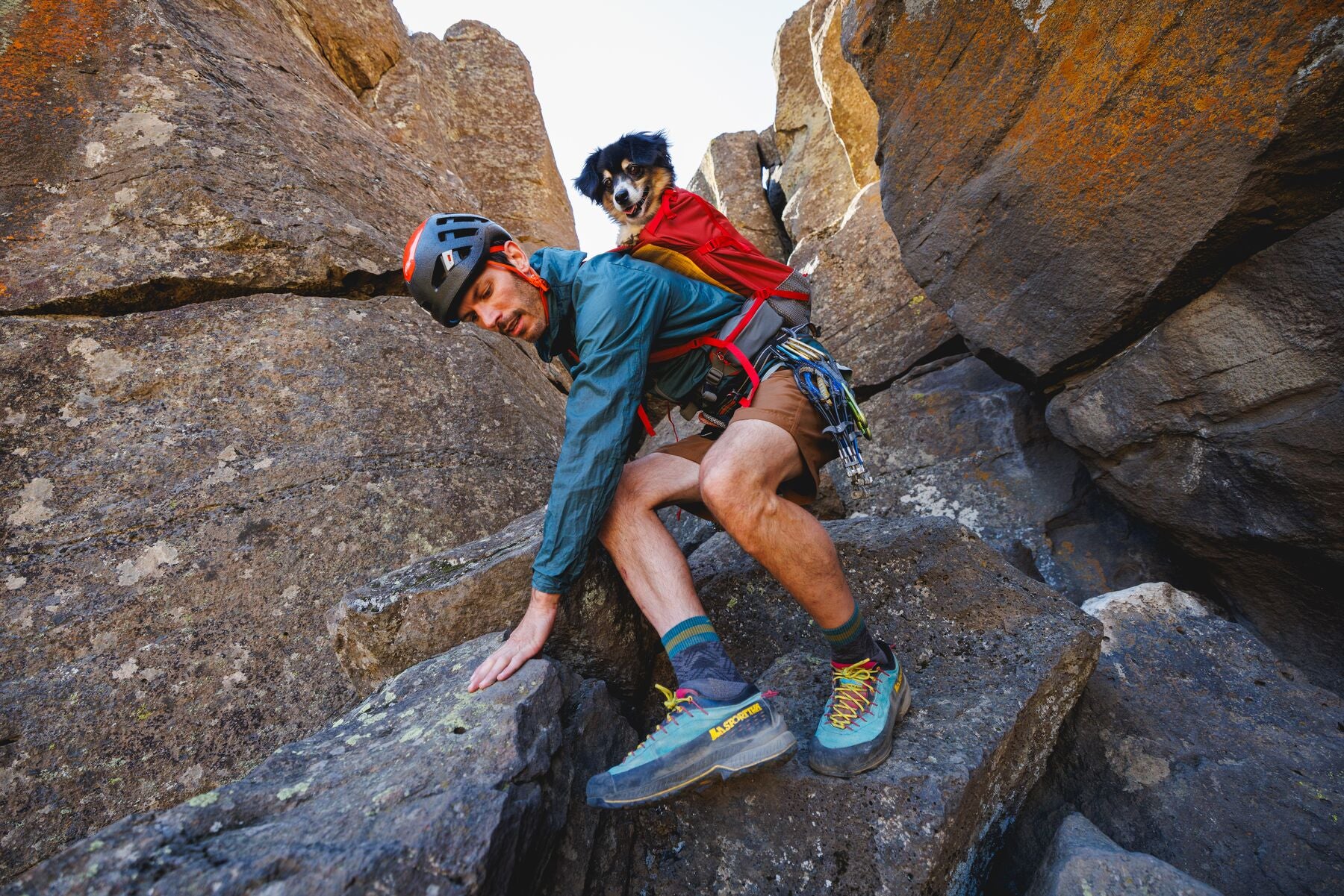 Ruffwear Hitch Hiker™ Backpack Carrier