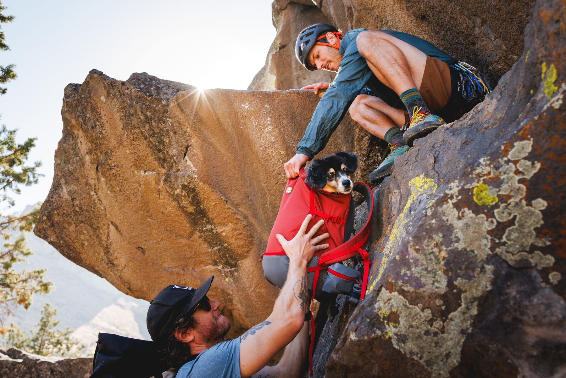 Ruffwear Hitch Hiker™ Backpack Carrier