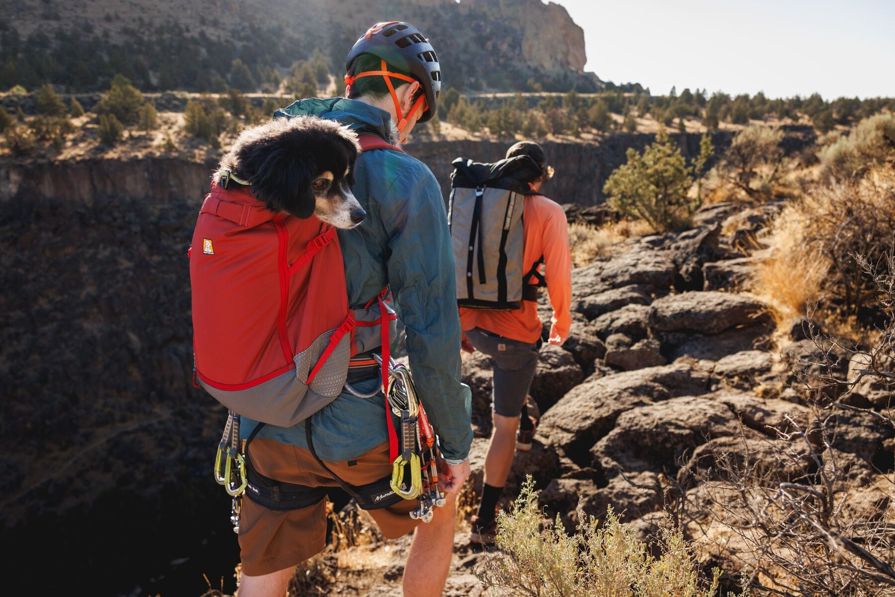 Ruffwear Hitch Hiker™ Backpack Carrier