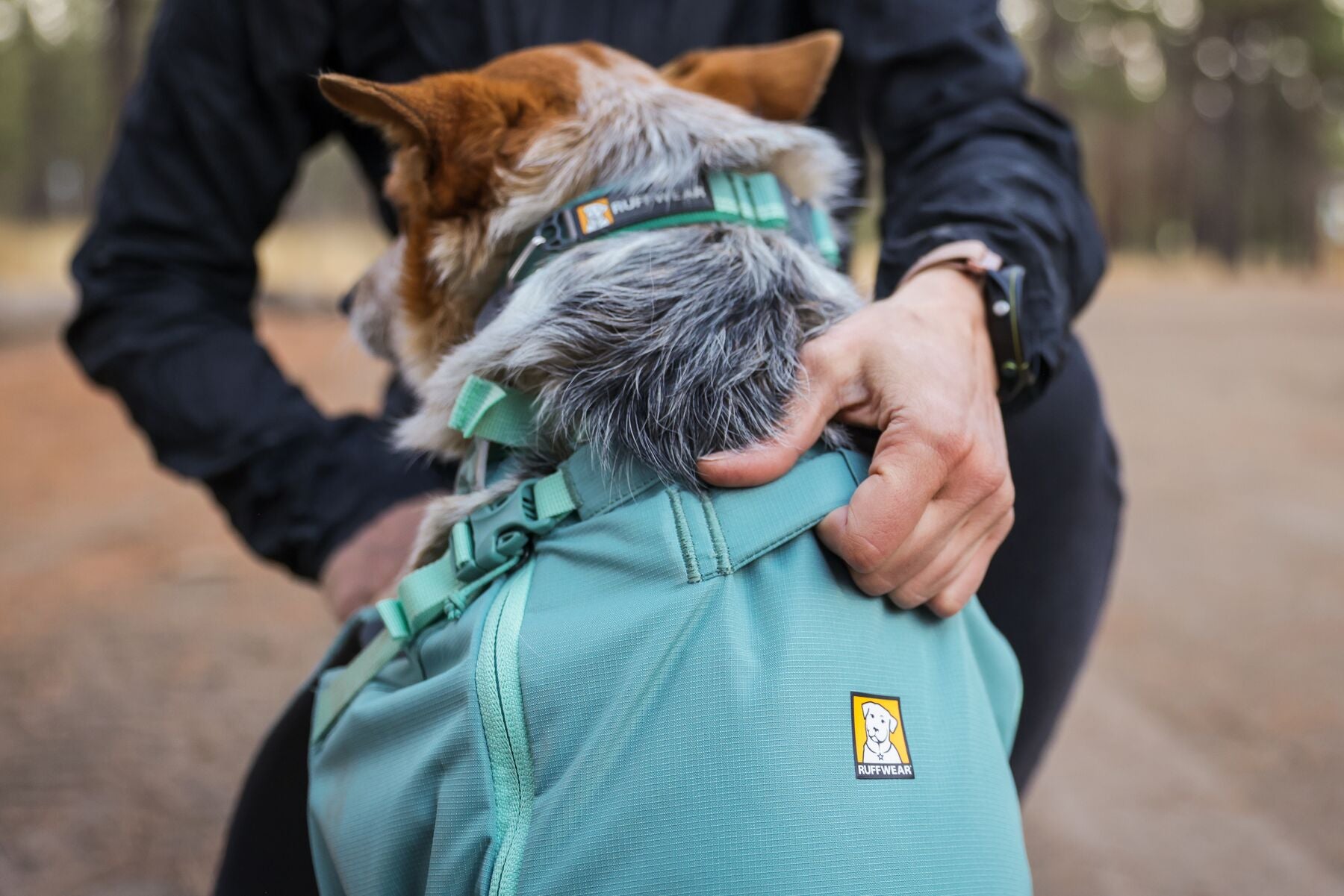 Ruffwear Hitch Hiker™ Backpack Carrier