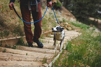 Ruffwear Knot-a-Leash