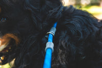 Ruffwear Just-a-Cinch Leash