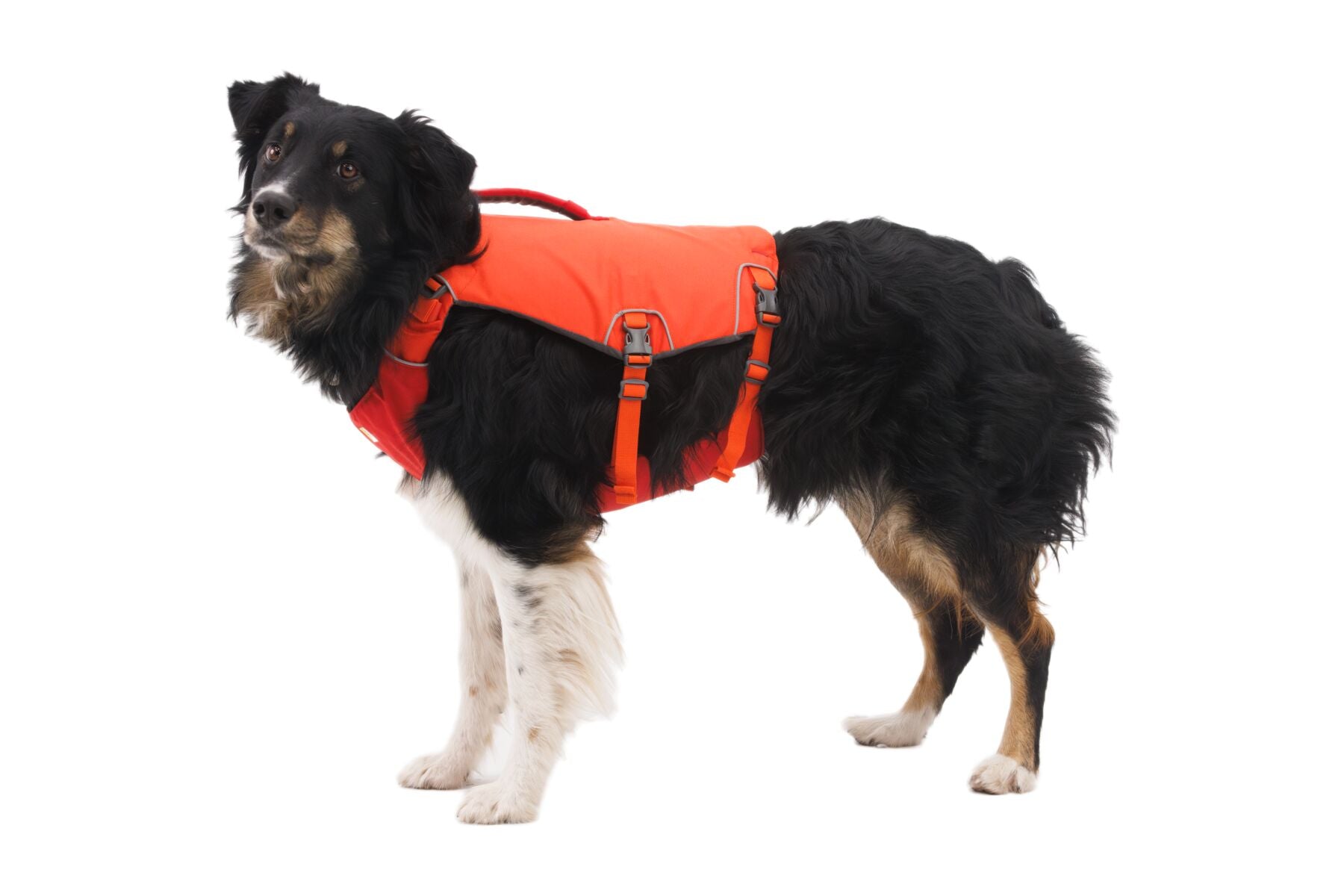 Ruffwear Confluence™ Life Jacket