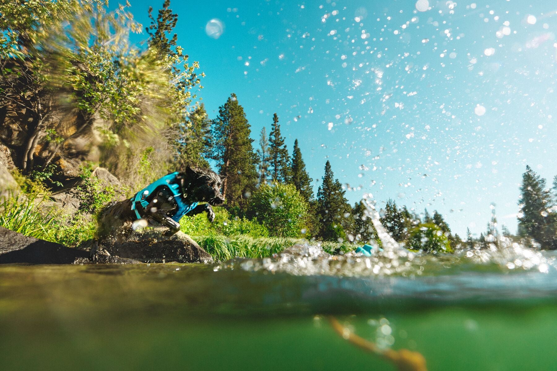 Ruffwear Confluence™ Life Jacket